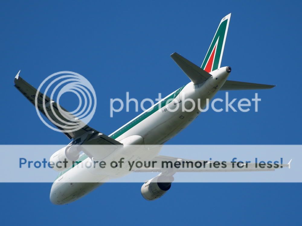 AM018874.jpg