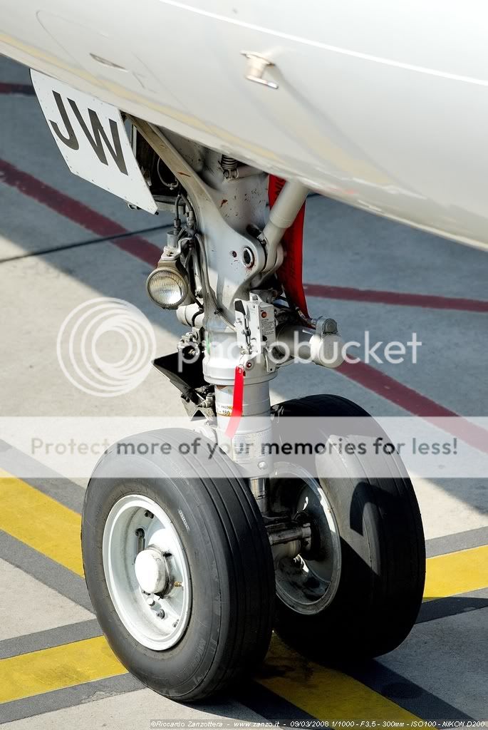 _ASC13977.jpg