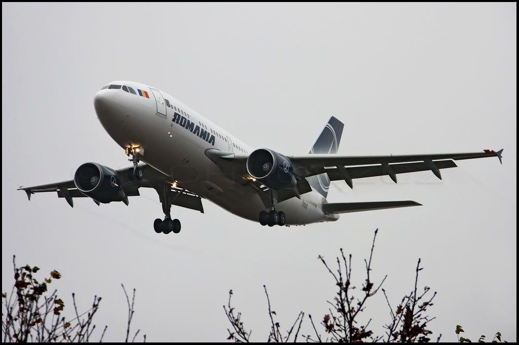 TaromA310a1024pxfor.jpg