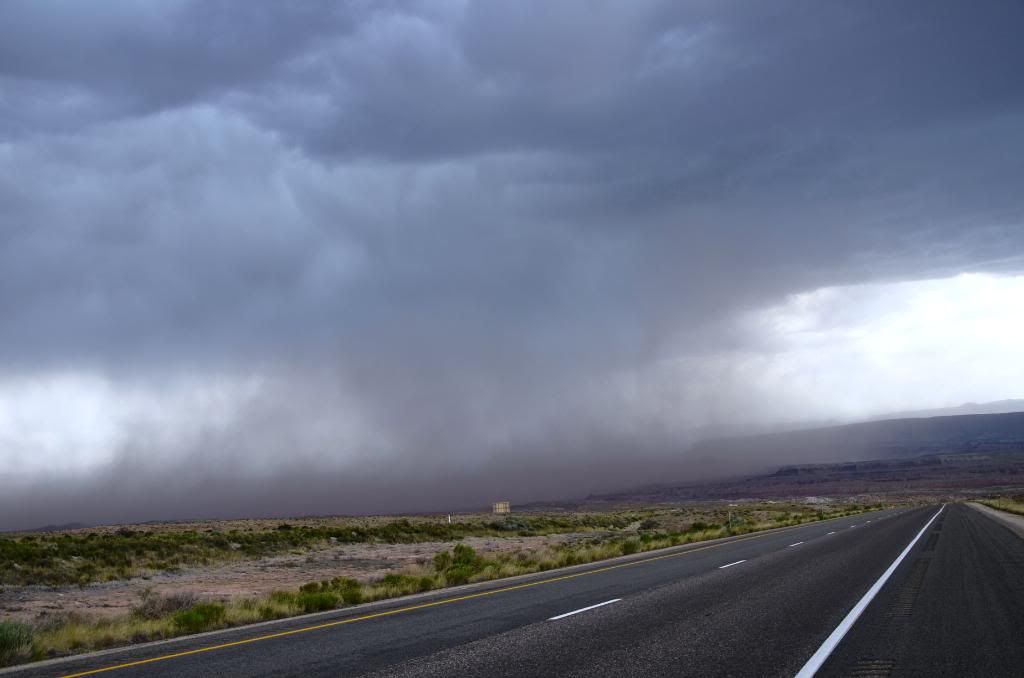 DSC_0866.jpg