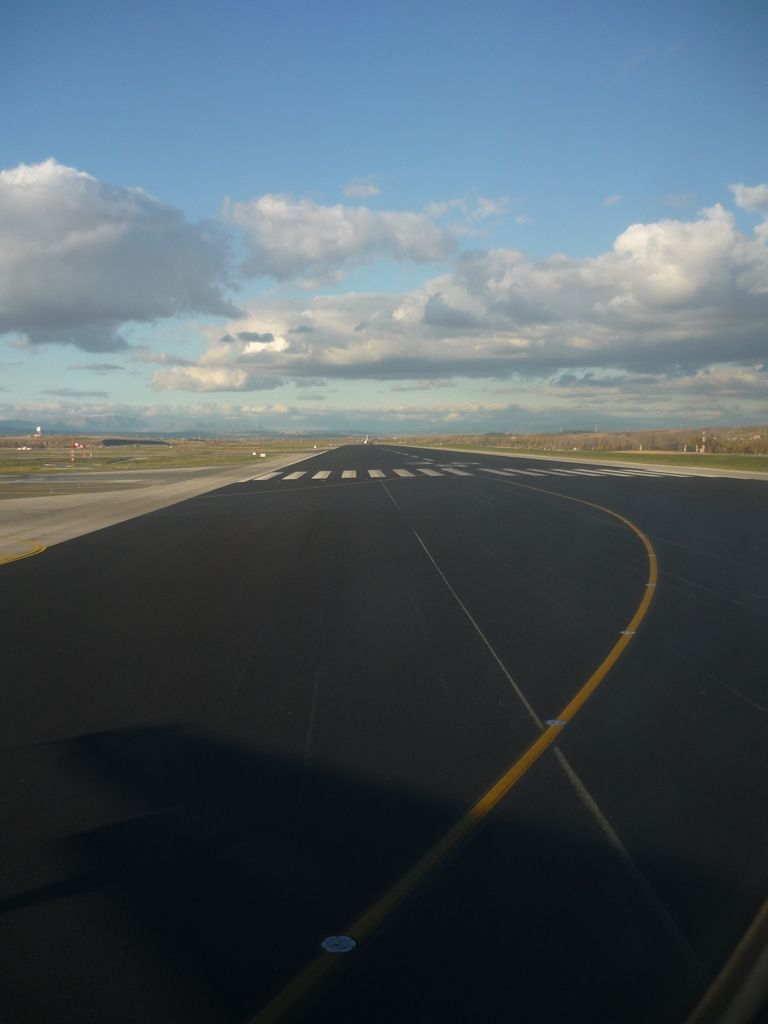 P1010644.jpg