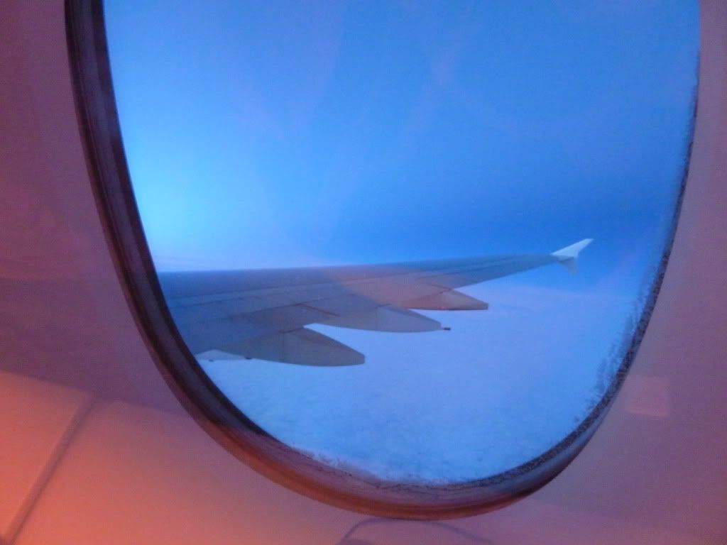 P1000813.jpg