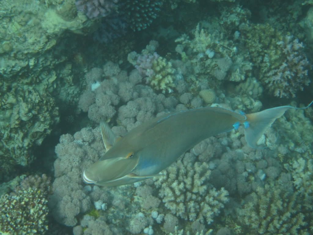 IMG_2345.jpg