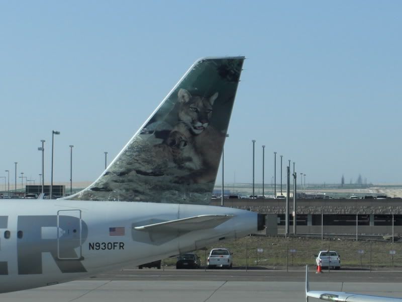 CIMG4479.jpg