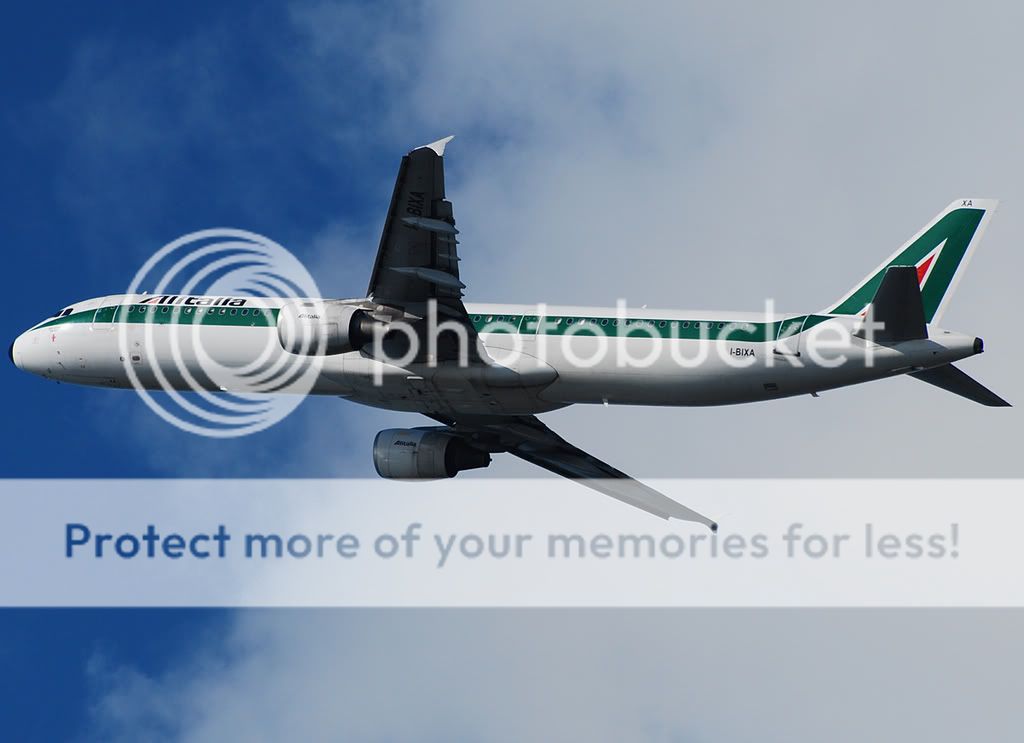 I-BIXA2.jpg