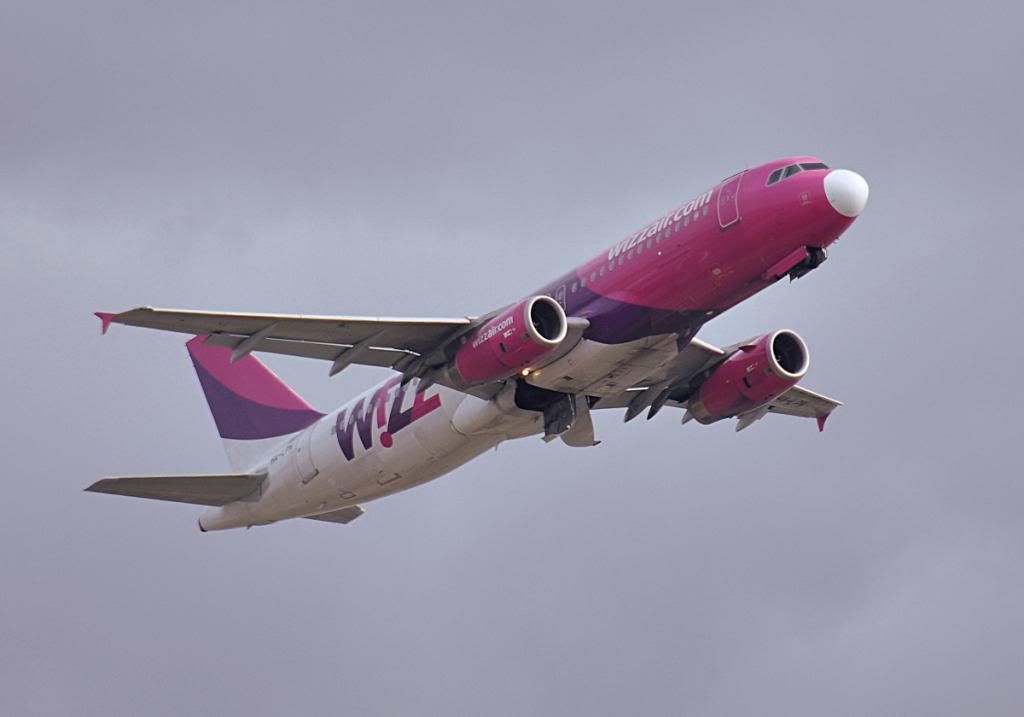 DSC_8404.jpg