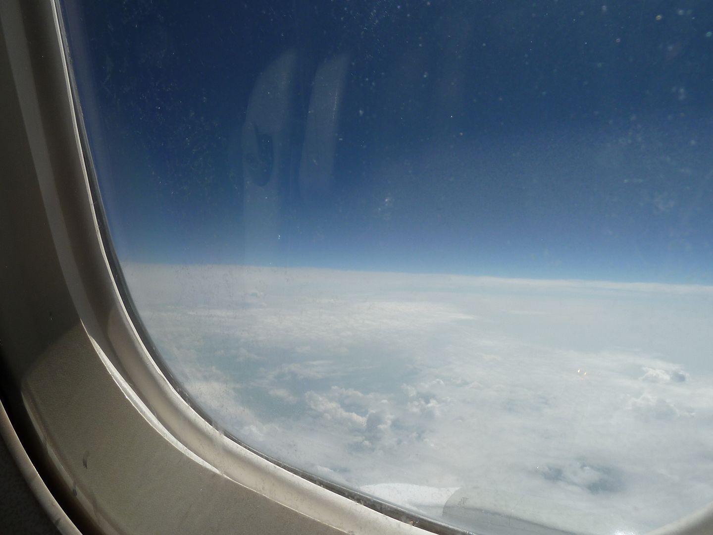 P1030198.jpg