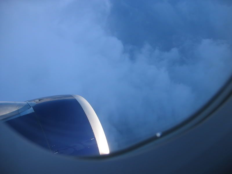 fin010.jpg