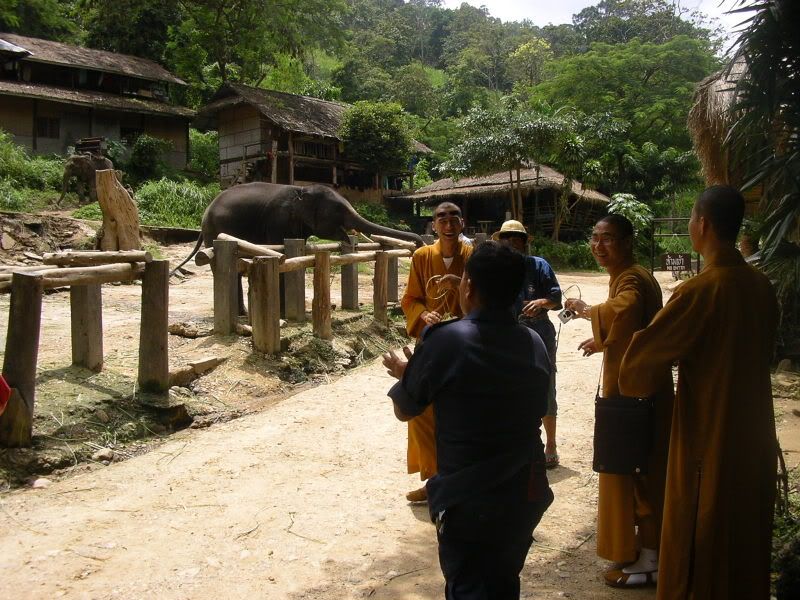 IMGP0822.jpg