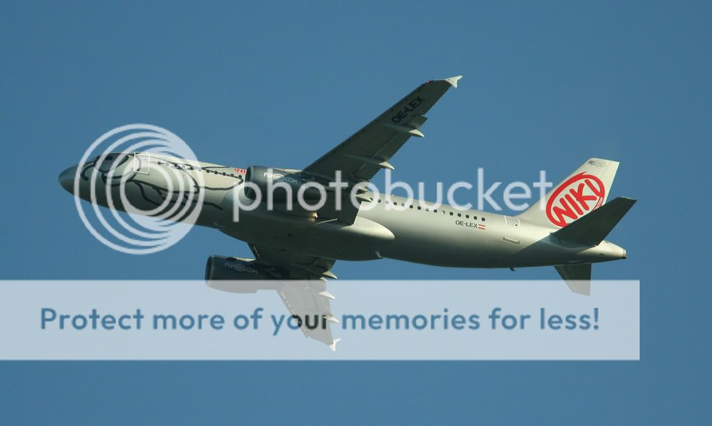 017-NIKI-OE-LEX-A319.jpg