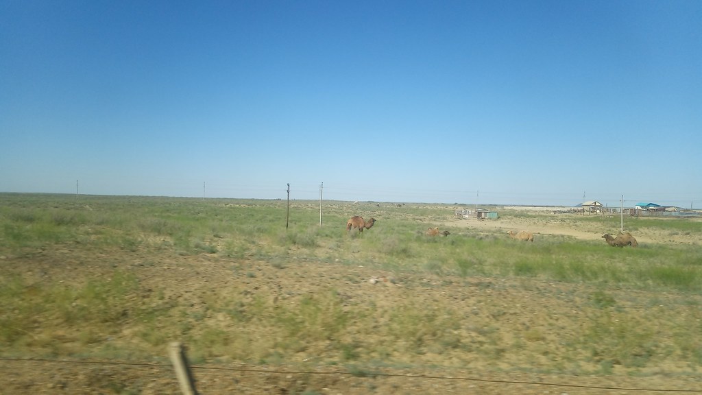 55497353270_3870c04f6b_b.jpg