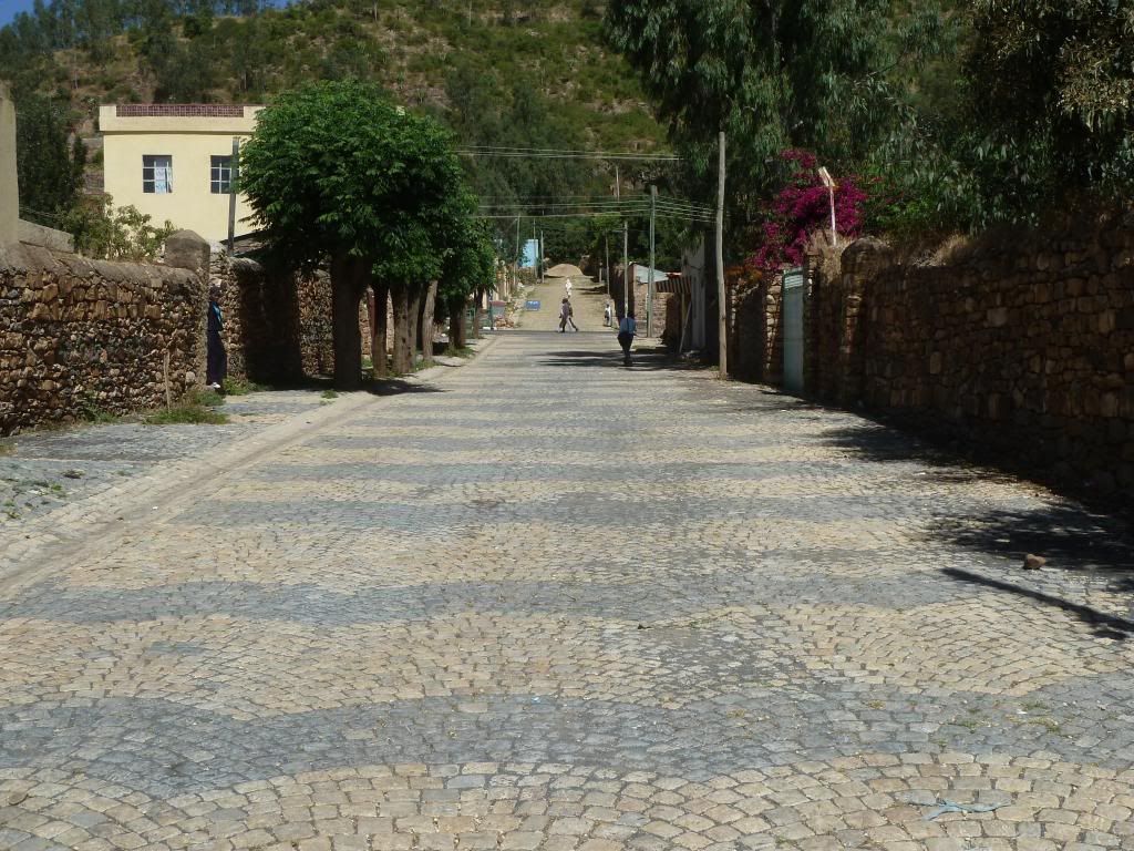 P1190561-Copy.jpg