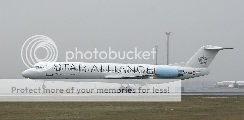 IMG_9519.jpg