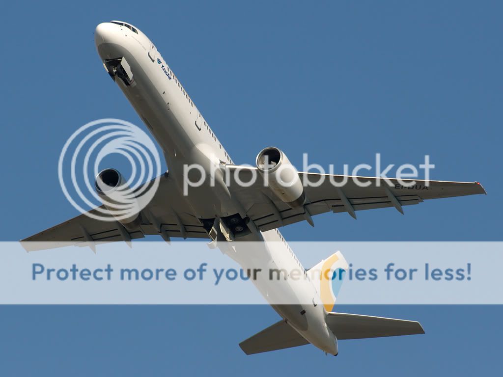 ei-duaA.jpg