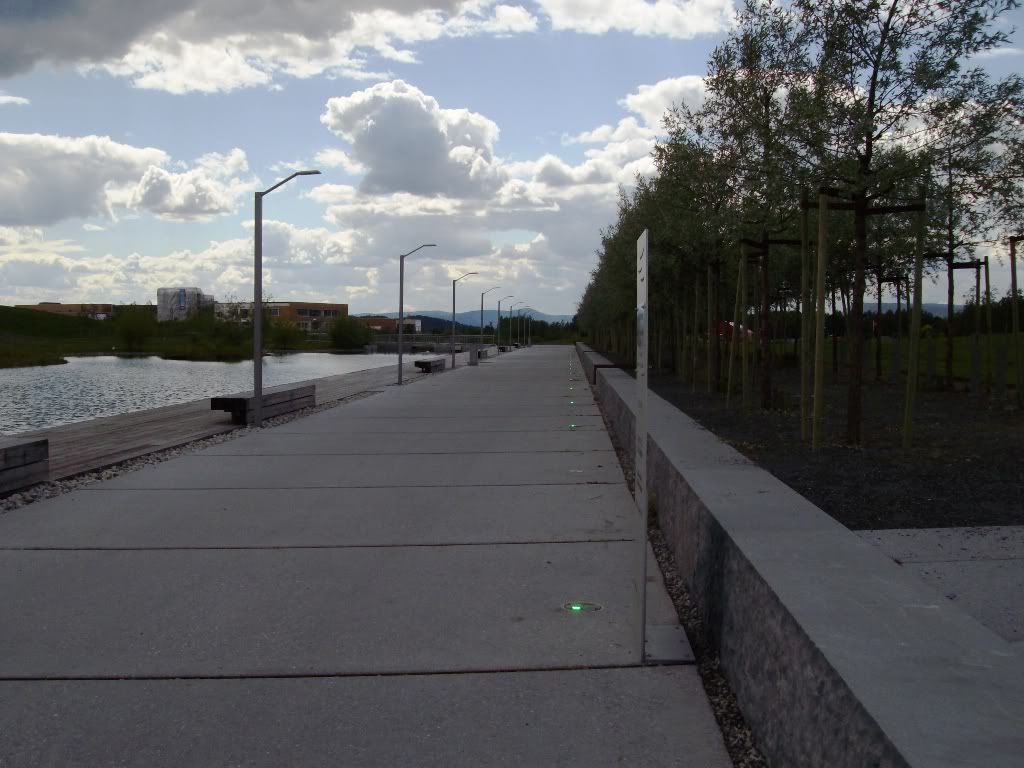 IMGP3183.jpg