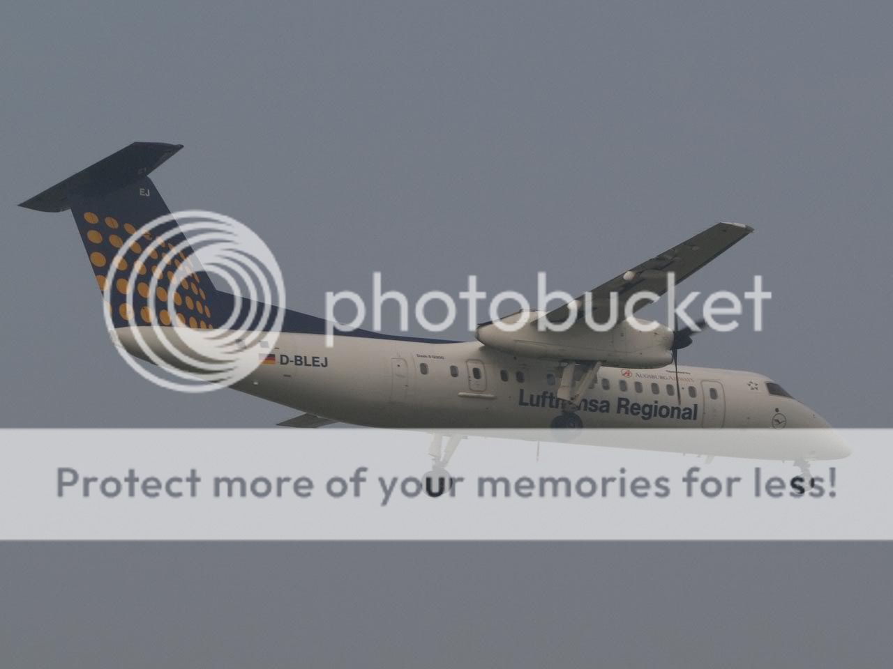 PA251038.jpg