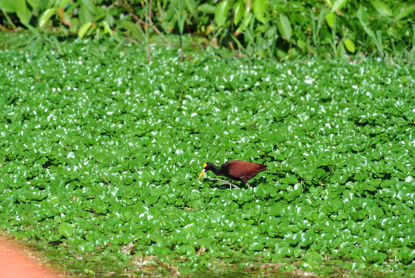 DSC_8205_zpsdahvp5ih.jpg