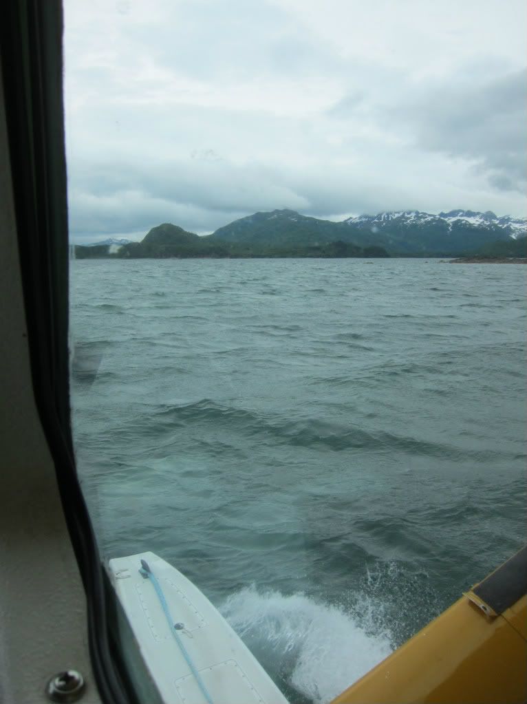 IMG_2564.jpg