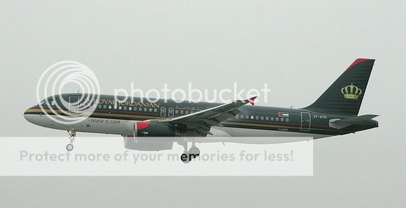 IMG_9564.jpg