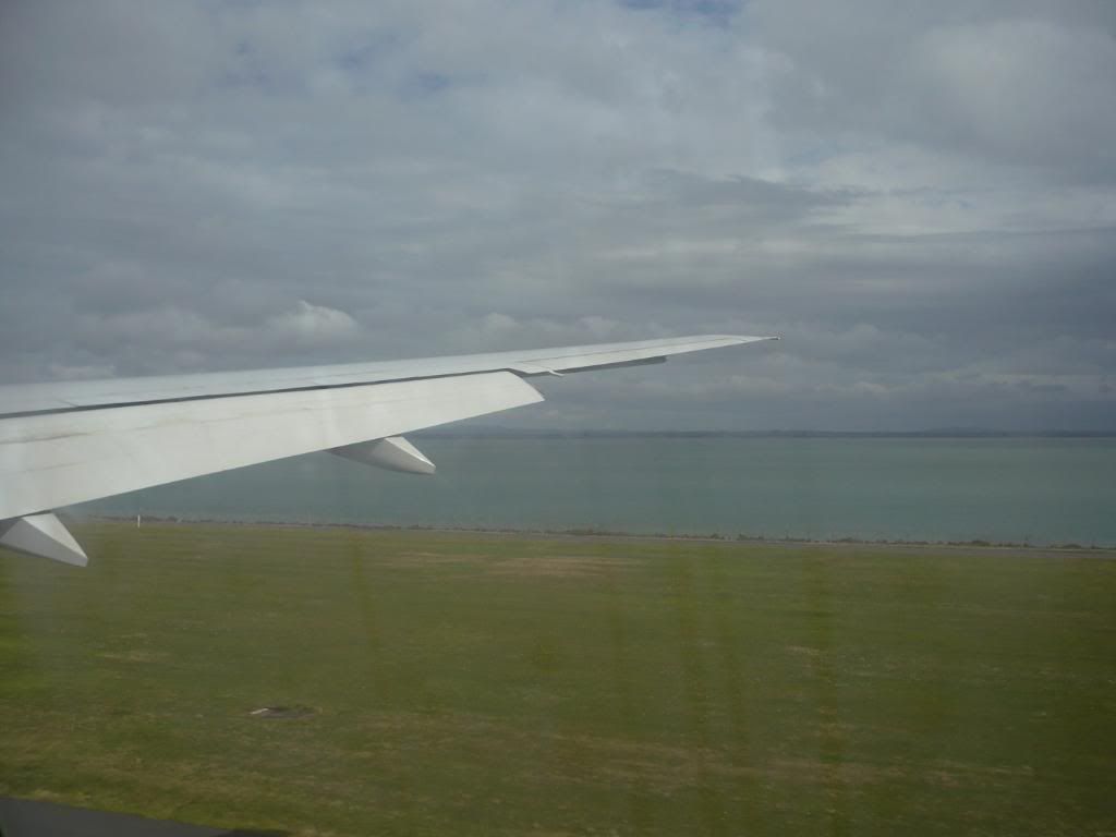 P1000229.jpg