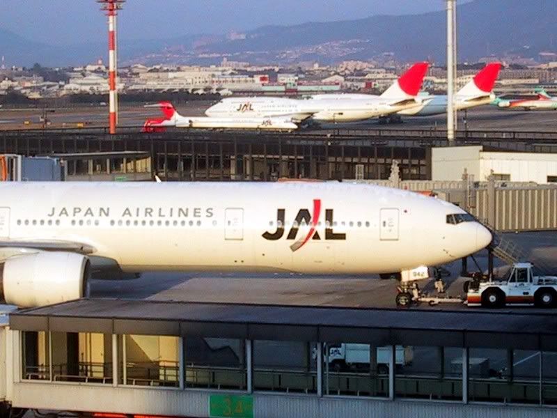 jal773_2.jpg