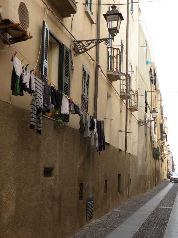 DSCN8307.jpg