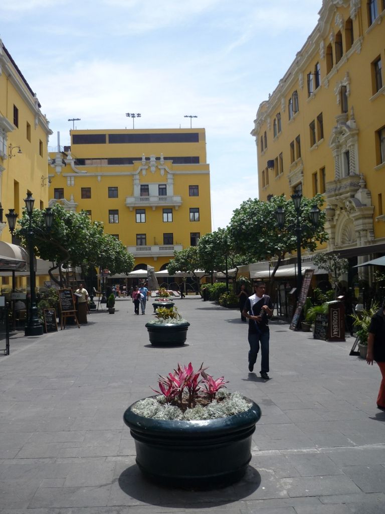 P1010591.jpg