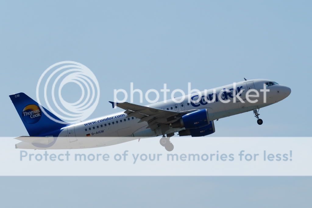 condor5.jpg