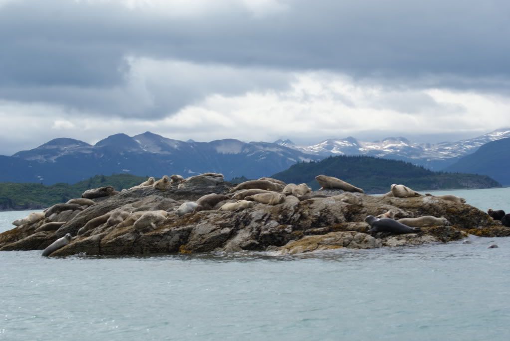 DSC09073.jpg
