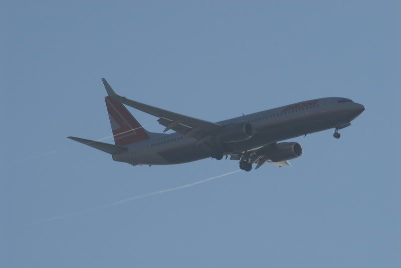 737lauda.jpg