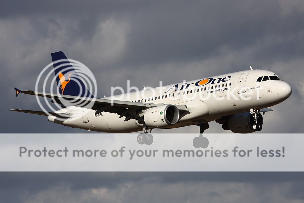 airone1.jpg