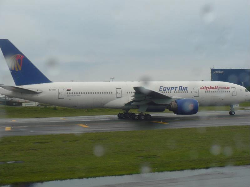 P1020160-1.jpg