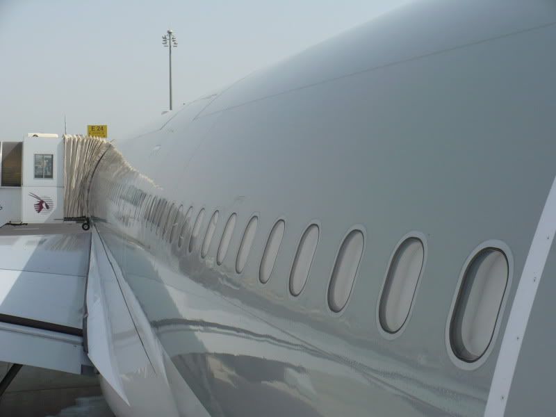 P1020163.jpg