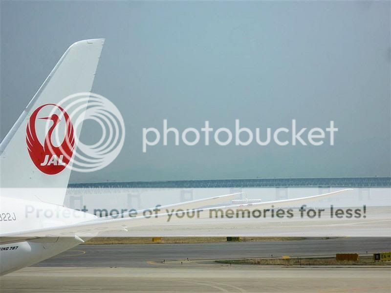 787_3.jpg