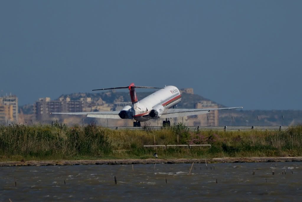 DSC_8005.jpg