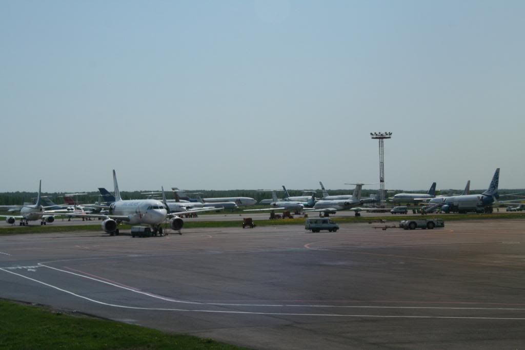 sharm138-1.jpg