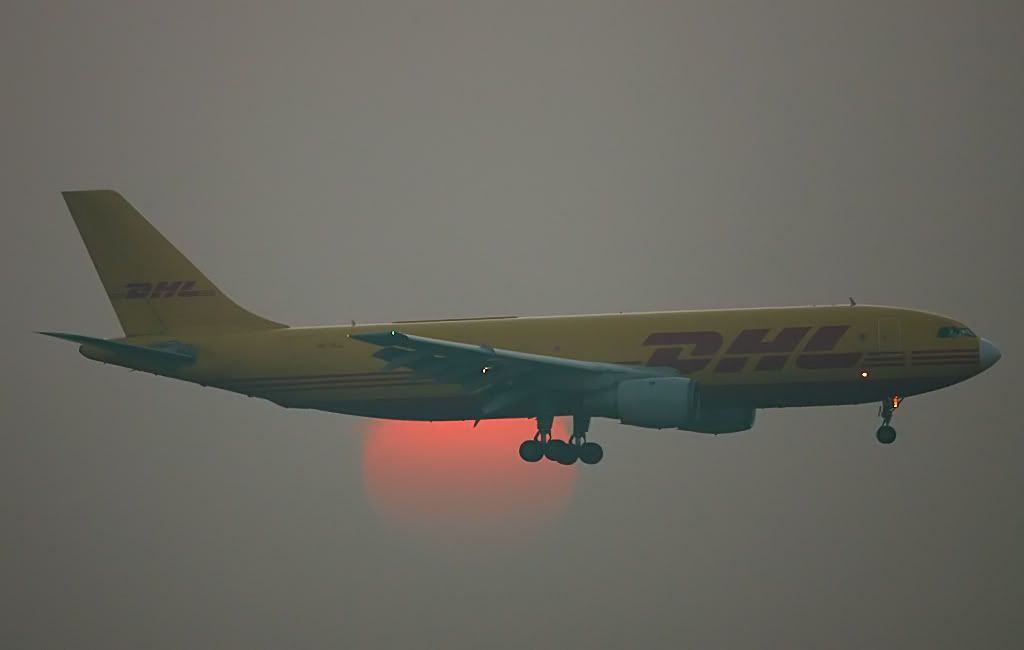659.jpg