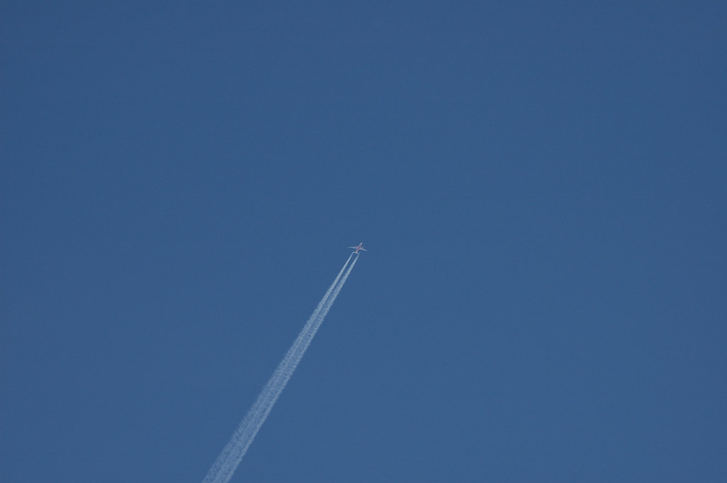 5278539736_b6366cf463_b.jpg