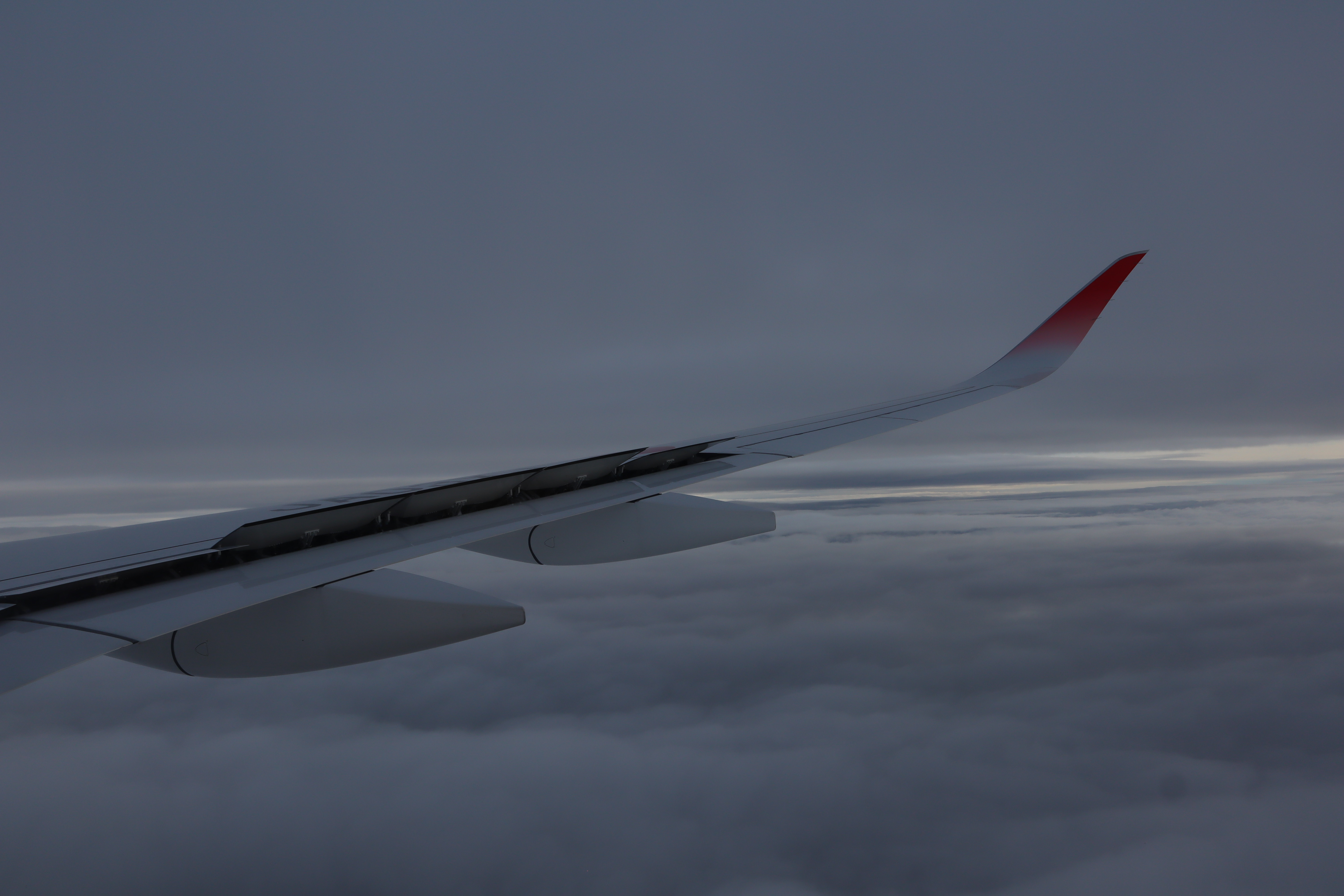 49527492342_9349d811ce_6k.jpg