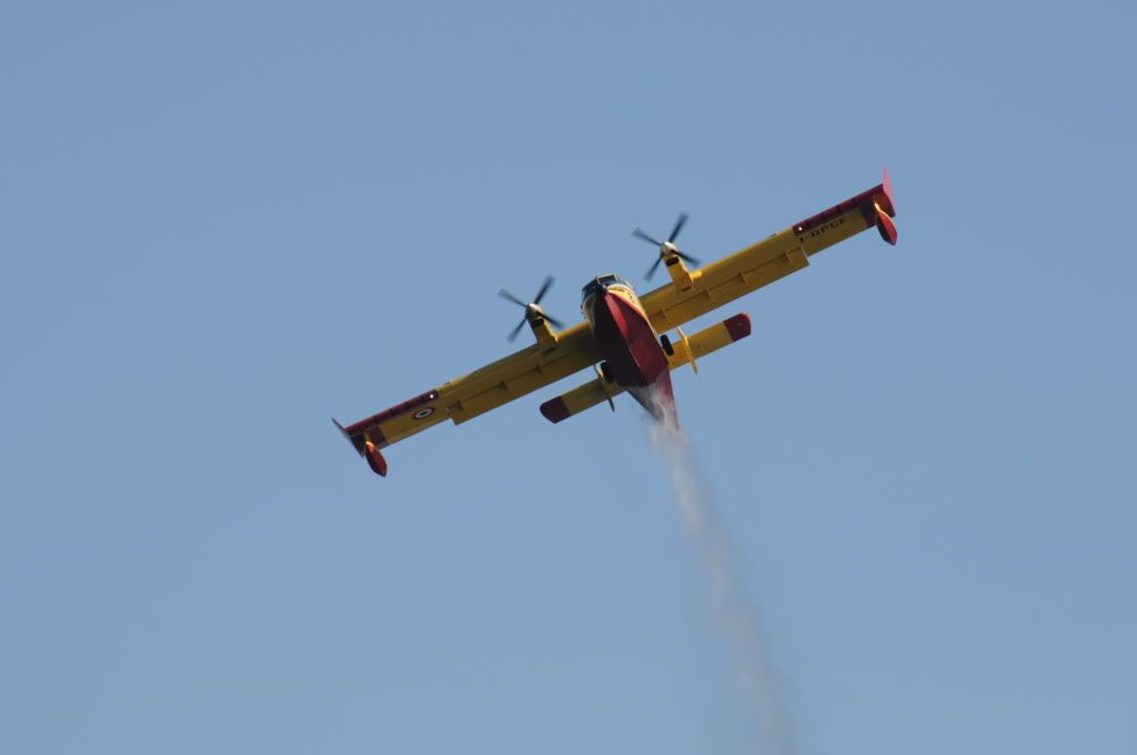 DSC_0401.jpg