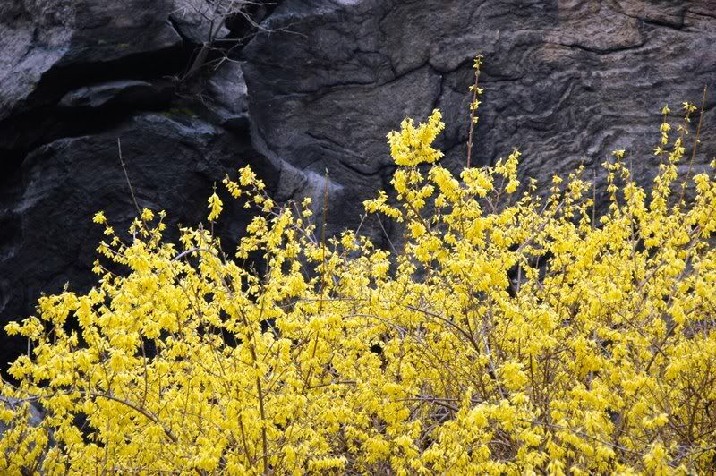 DSC_8399.jpg