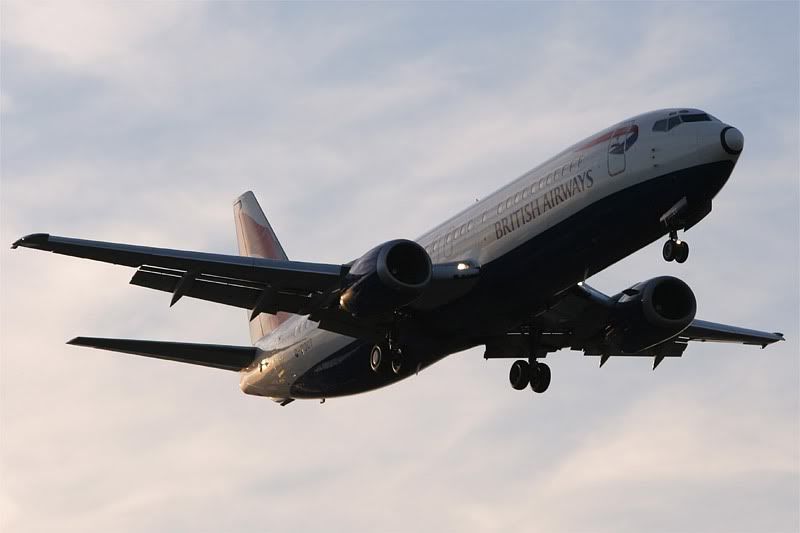 speedbird-1.jpg
