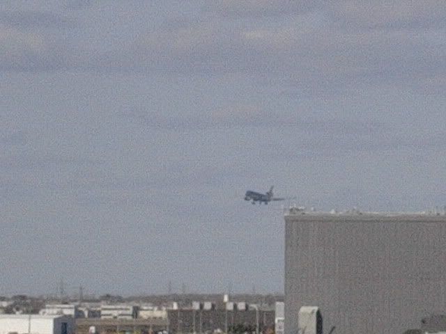 DSCN8937.jpg