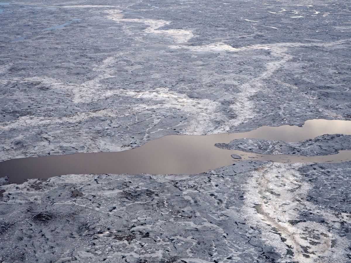 Nenets034.jpg