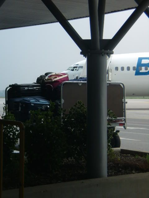 P6050304.jpg