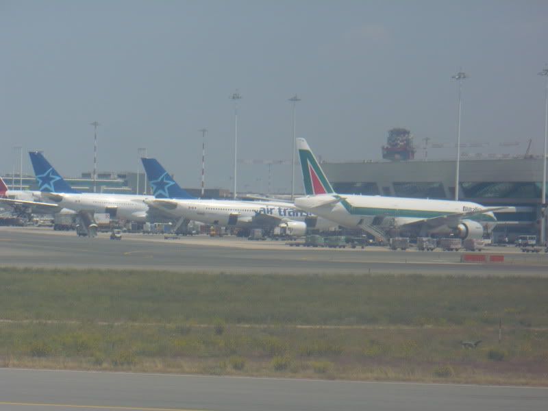 P1020185.jpg