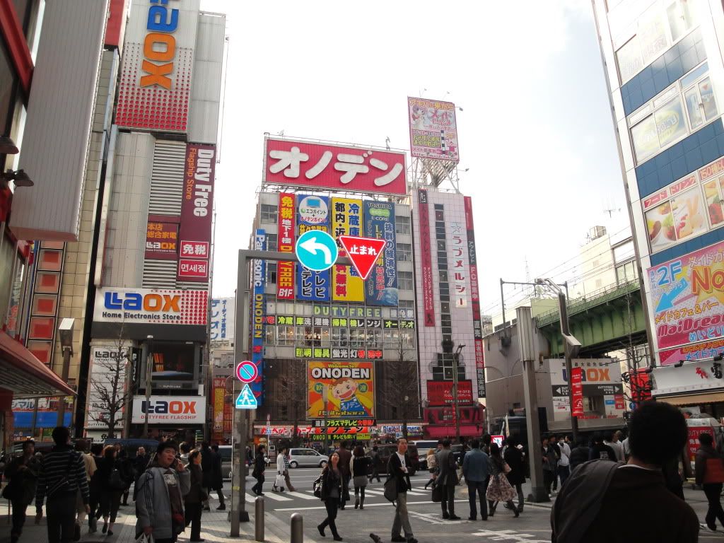 DSC01754.jpg