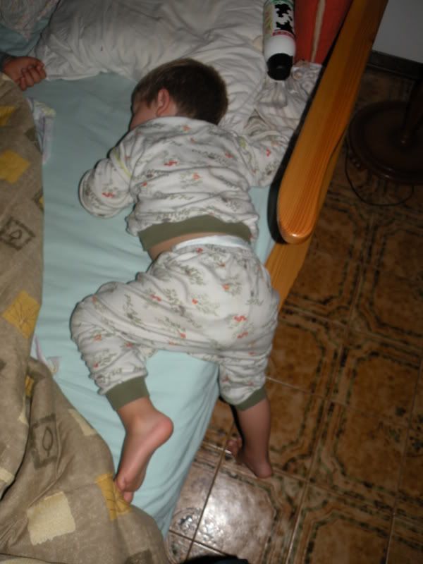 DSCN8847.jpg