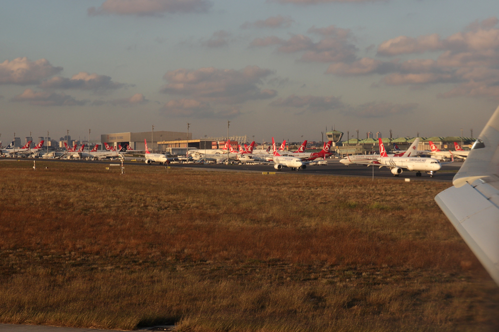 26316664619_d1150b7649_o.jpg