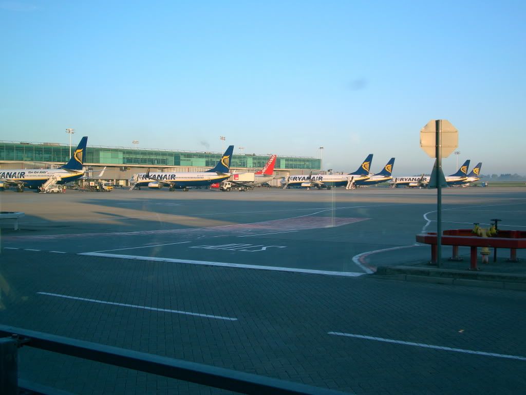 DSC02762.jpg